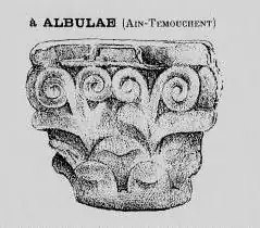 Image illustrative de l’article Albulae