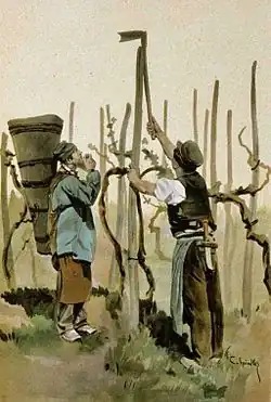 Vignerons (environs d'Obernai).