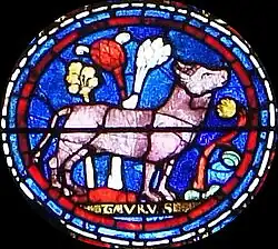 Vitrail sud de la cathédrale de Chartres.