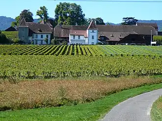 Image illustrative de l’article Château de Duillier