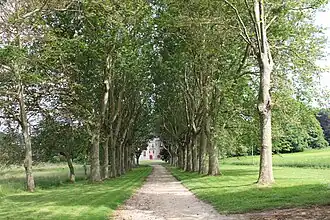 Château vu de l'allée boisée.