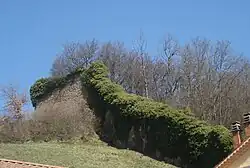 Ruines du château vieux