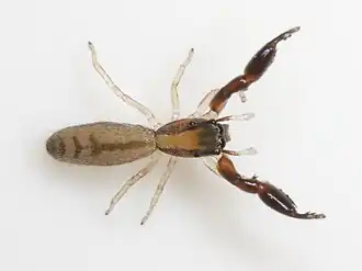 Description de cette image, également commentée ci-après