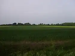 Vue sur une plaine agricole et bocage au fond.