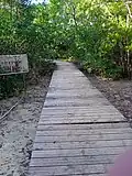 Chemin aménagé de l'îlet Macou.