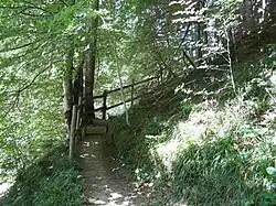 Escalier forestier menant à la chartreuse depuis le parking.