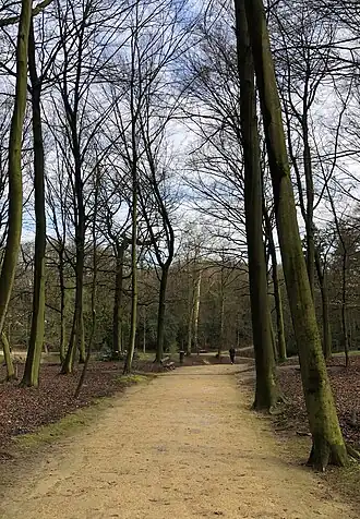 Image illustrative de l’article Chemin des Patineurs