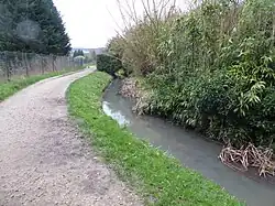 Chemin le long du bras vif.