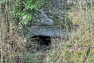 Entrée de la grotte de Chenecey.