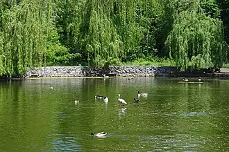 Image illustrative de l’article Zoo Roshen de Tcherkassy