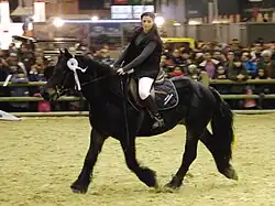 Dans une carrière d'exposition, un cheval bai brun de profil se déplace au trot monté par une jeune fille les cheveux détachés.