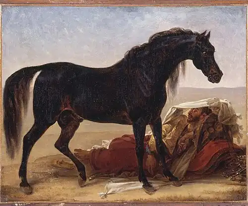 Cheval arabe, Antoine-Jean Gros, 1817.