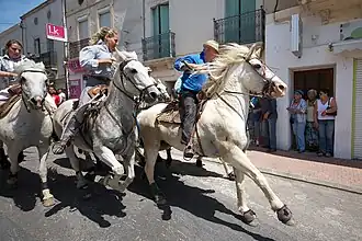 Équitation Camargue