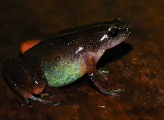 Description de cette image, également commentée ci-après