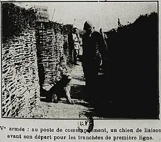 Chien français (1915).