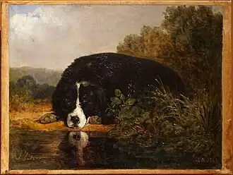 Pluton chien favori du maître, musée des Beaux-Arts de Reims.