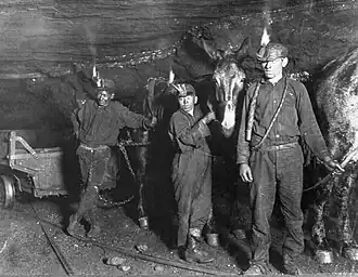 Enfants mineurs de charbon et mules, en 1908 dans la mine de Gary en Virginie-Occidentale. Source : Library of Congress.