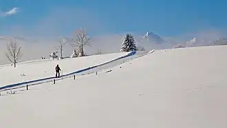 Vue aérienne de la station.