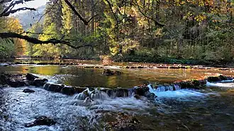 Nassi dans les gorges en amont de Chiprey.