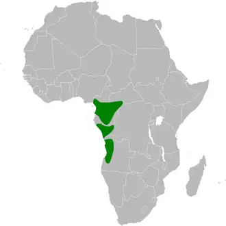 Description de l'image Chlorocichla falkensteini distribution map.png.