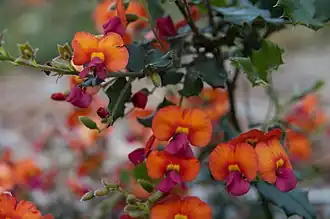 Description de cette image, également commentée ci-après