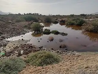 Image illustrative de l’article Chott el-Guettar