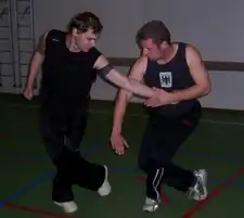 Image illustrative de l’article Choy Lee Fut