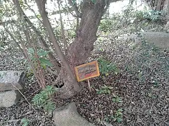 Description de cette image, également commentée ci-après