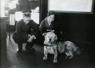 Hachikō à la gare de Shibuya, vers 1933.
