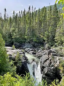 Chute dans un sentier 2021.