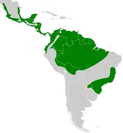 Carte de l'Amérique du Sud et Centrale avec certaines zones coloriées en vert