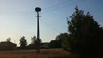 Sadłowo (Mazovie)