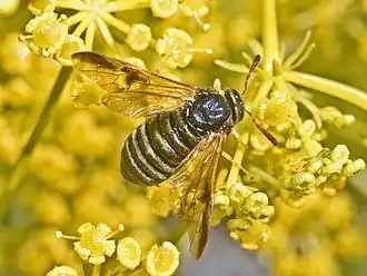 Description de cette image, également commentée ci-après
