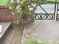 Repère de nivellement dans le cimetière.