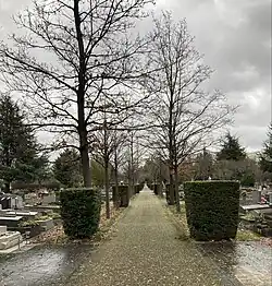 Allée, décembre 2022.