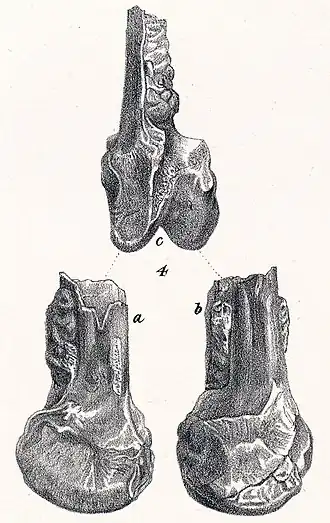 Description de cette image, également commentée ci-après