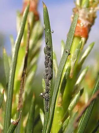 Description de cette image, également commentée ci-après