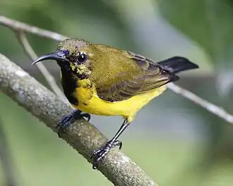 Description de cette image, également commentée ci-après