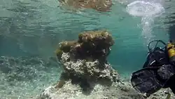 Retour à Susie's Pool