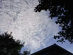 Cirrocumulus undulatus encastrés dans du cirrocumulus