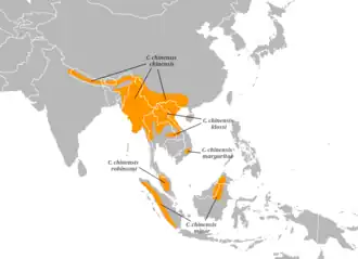 Description de l'image Cissa chinensis distribution map.png.
