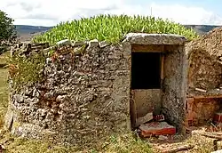 Aiguier au toit planté d'iris.