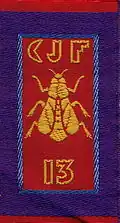 Insigne du CJF 13 (2e&nbsp;modèle).