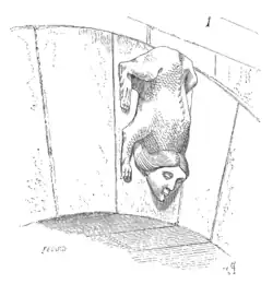 Clef d'archivolte du Puy-en-Velay.