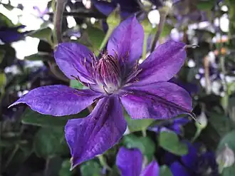 Description de cette image, également commentée ci-après