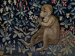 Singe dans le Goût goûte un fruit cueilli sur la plante voisine.