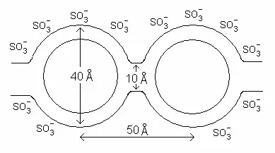 Modèle du réseau de clusters.