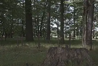 Studzieniec (Żyrardów)