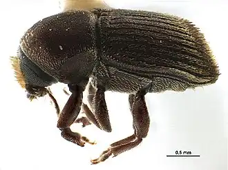 Description de cette image, également commentée ci-après