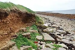 vue d'une plage, les dunes sont dégradées.